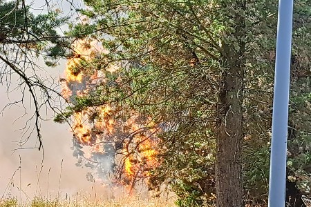 Fiamme di una delle riprese dell'incendio del 29 luglio