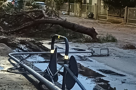 L'albero che ha strocato di netto il paolo della luce in via Pistoiese (zona Viaccia)